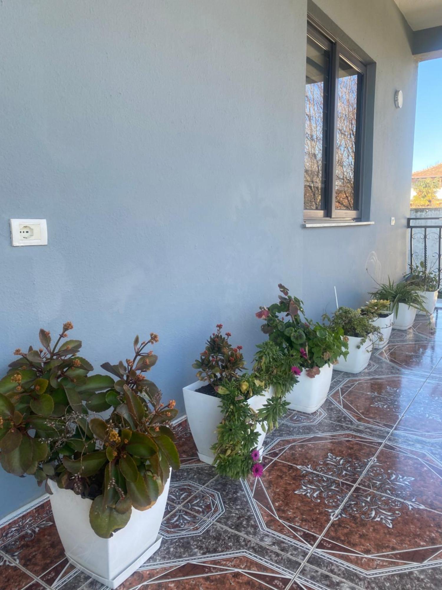 The Hideaway Guesthouse Bahçallëk 外观 照片